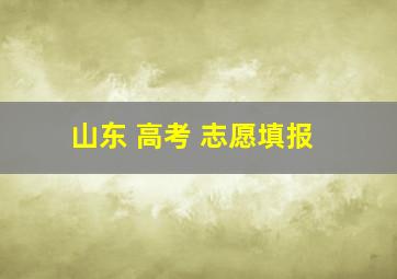 山东 高考 志愿填报